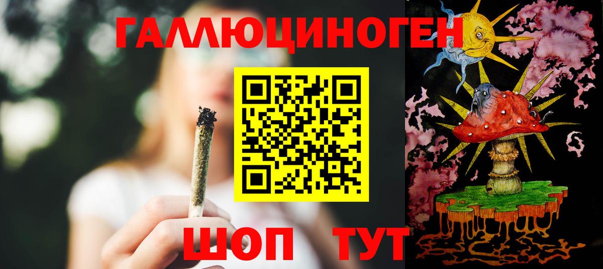 Псилоцибиновые грибы Psilocybe Астрахань