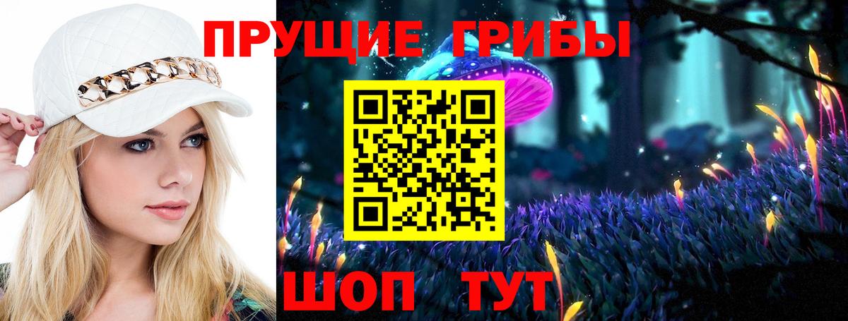 Астрахань  Галлюциногенные грибы Magic Shrooms  где купить наркоту  Галлюциногенные грибы Psilocybe  Вход с VPN 